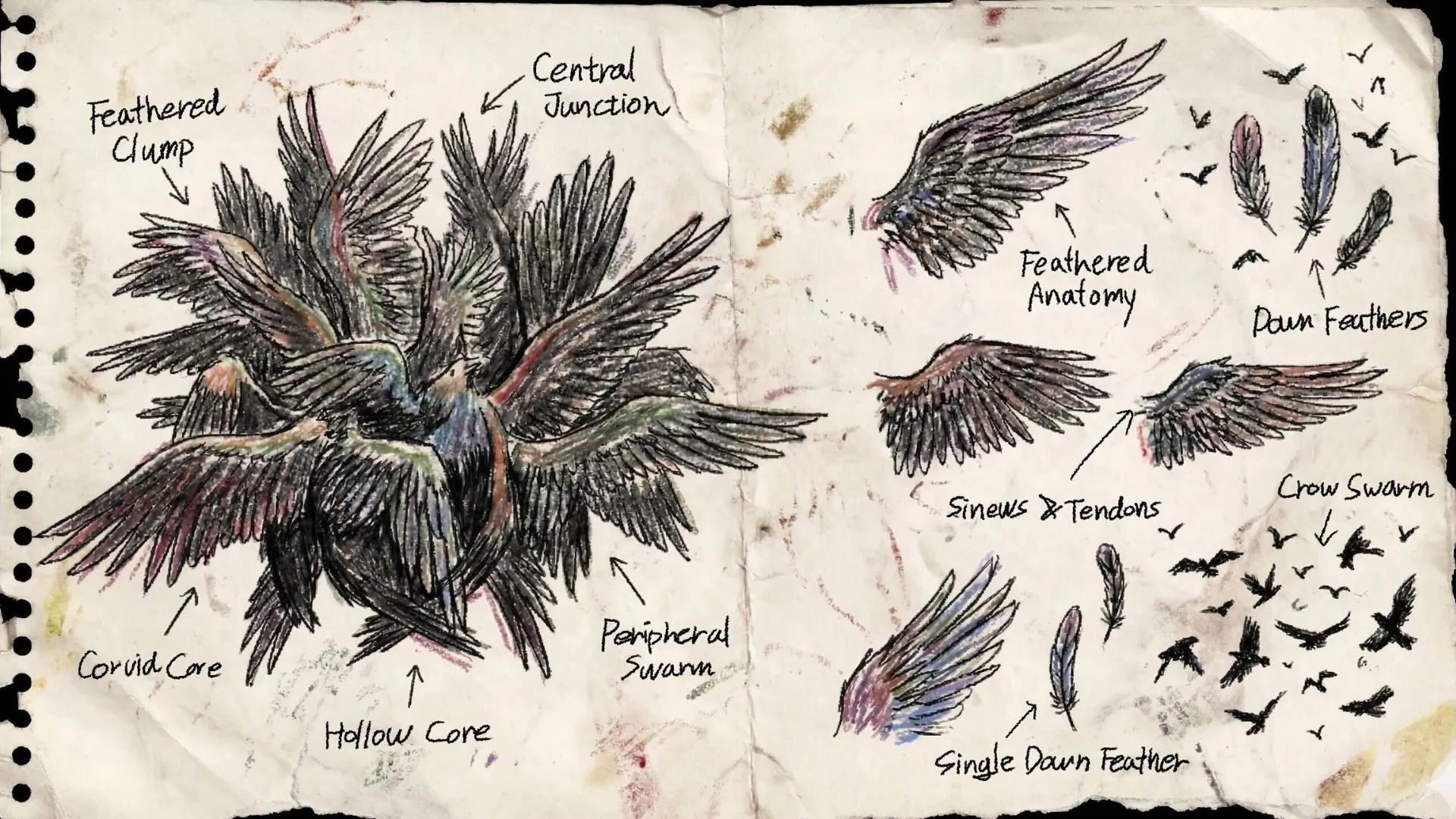 连战告捷,特拉布宗体,育主场豪取,QQ体育,企鹅体育,体育博彩,体育赛事投注,QQ体育平台,体育投注