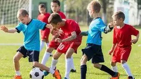 美因茨遭多特蒙德绝杀，维特塞尔87分钟锁定胜局，德甲第25轮战报