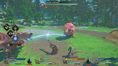 帕德博恩主场优势面临挑战，中后场伤情分析