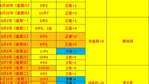 2026美系红牌解析：大连队稳操胜券终极指南