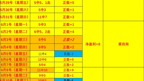 曼城热身赛风云：努内斯受伤，雷斯顶替入选替补阵容